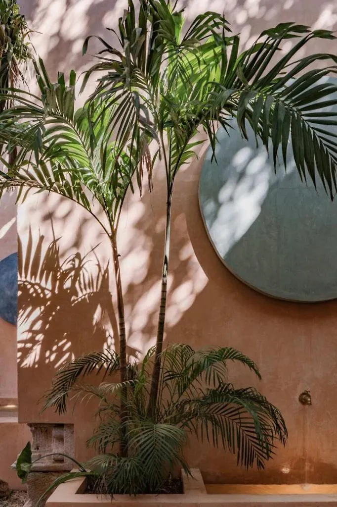 Casa Esther - Parque Santiago Mérida Séjour chez l'habitant